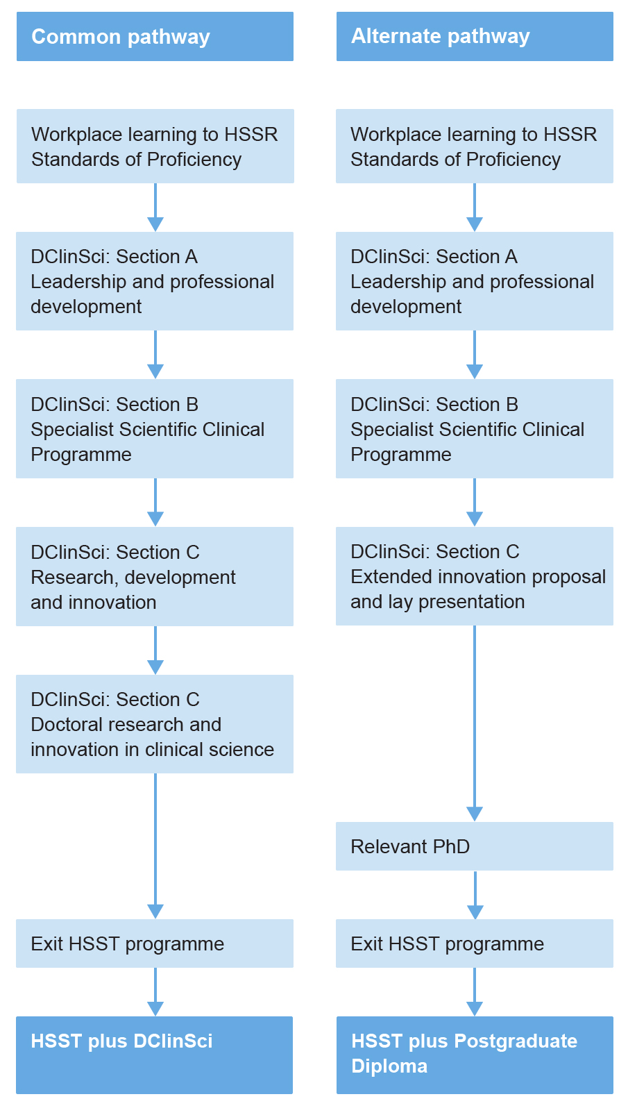Graphic showing the HSST Physical and Physiological Sciences pathway