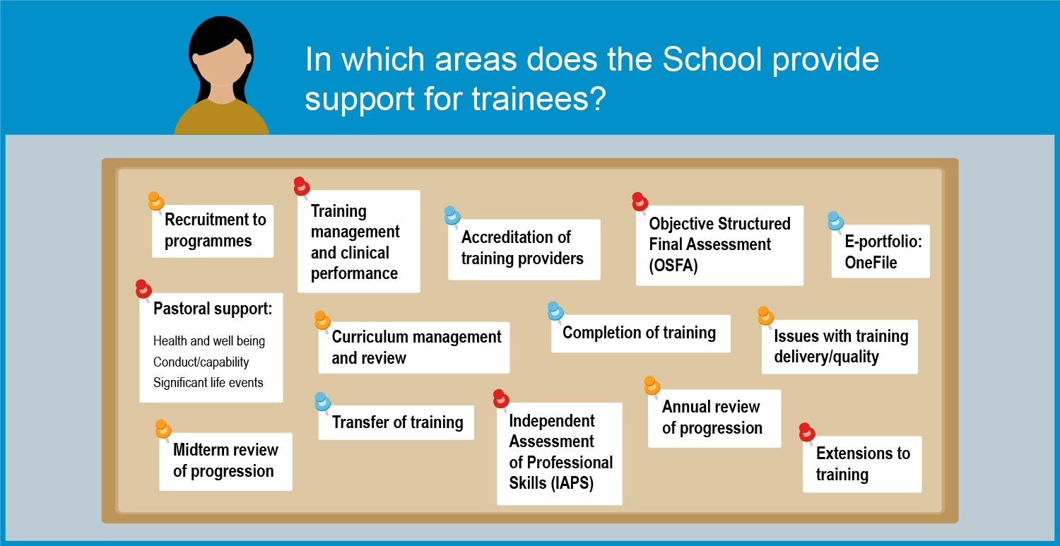 Fig. In which areas does the School provide support for trainees? Infographic describing how the School supports trainees