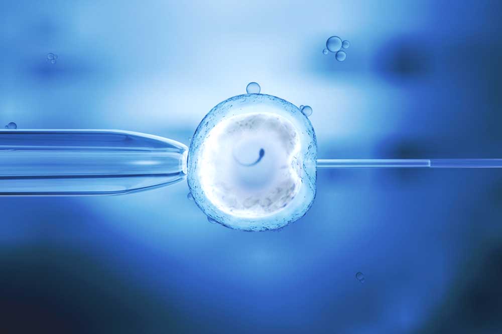 Feature image for A career in Clinical Embryology