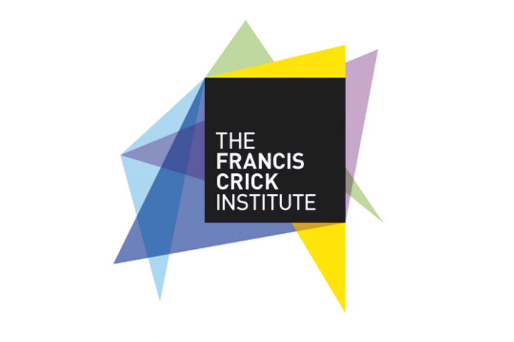 Feature image for Francis Crick Institute recruiting for clinician scientist group leaders