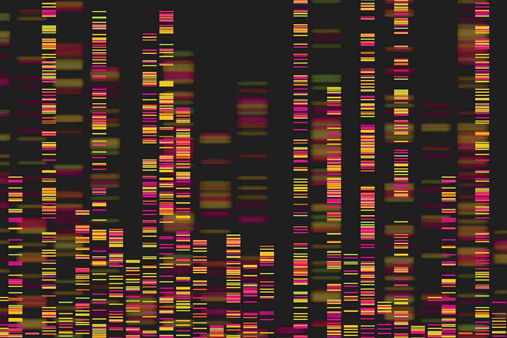 Feature image for What is Bioinformatics? – the Bitesize Genomics series will give you the answer