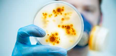 Feature image for Update on the 2022 delivery for the STP in Clinical Microbiology