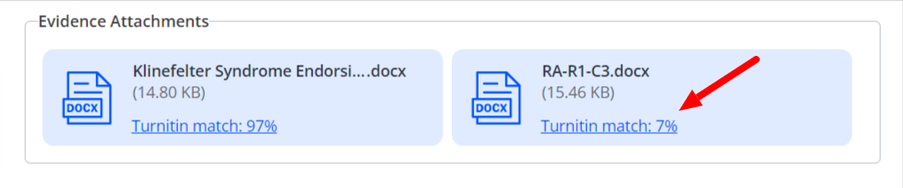 how long does it take turnitin